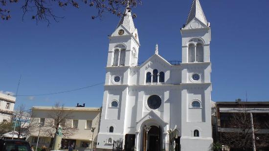 la Diócesis de Concordia