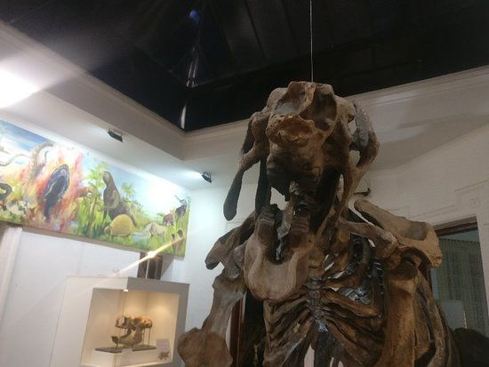 el Museo de Antropología y Ciencias Naturales