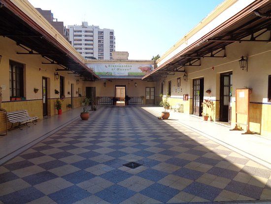 Museo de Ciencias Naturales y Antropológicas "Prof. Antonio Serrano"